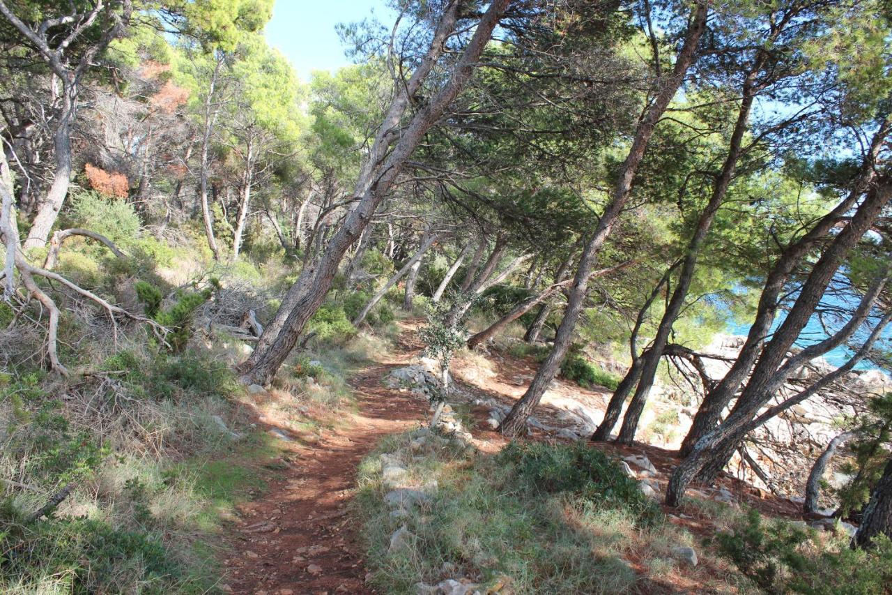 Bayview Lejlighed Trogir Eksteriør billede